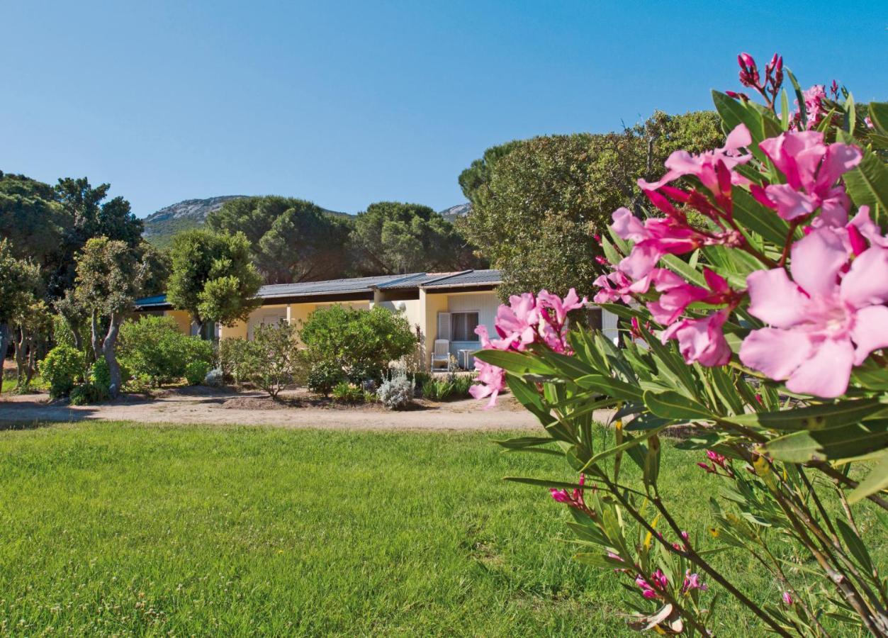 Holiday park Zum Stoerrischen Esel 2*