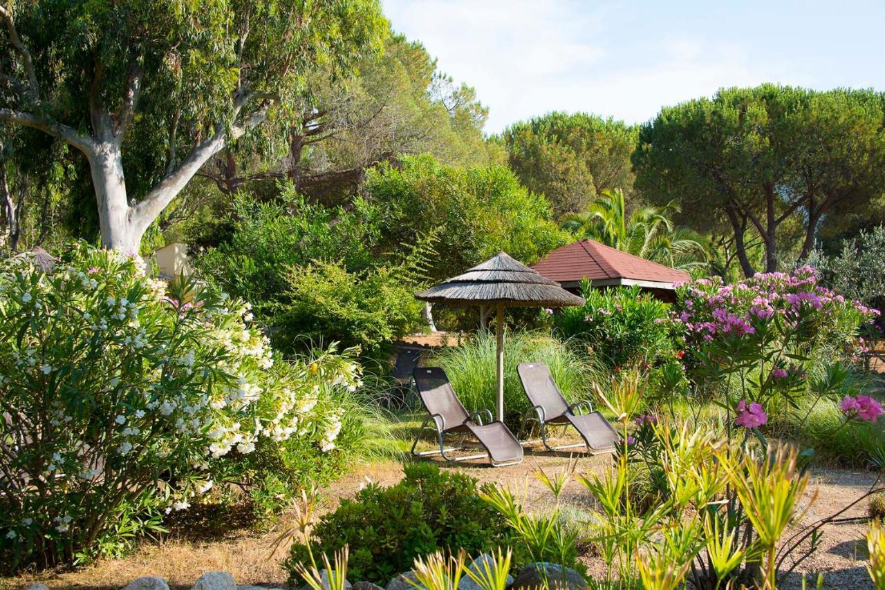 Zum Störrischen Esel 2* Calvi (Corsica)