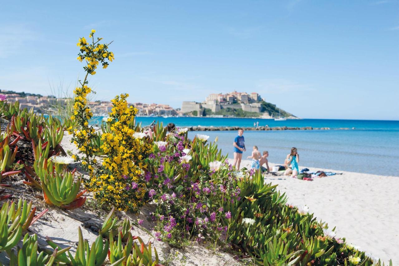 Ferienpark Zum Störrischen Esel Calvi (Corsica)